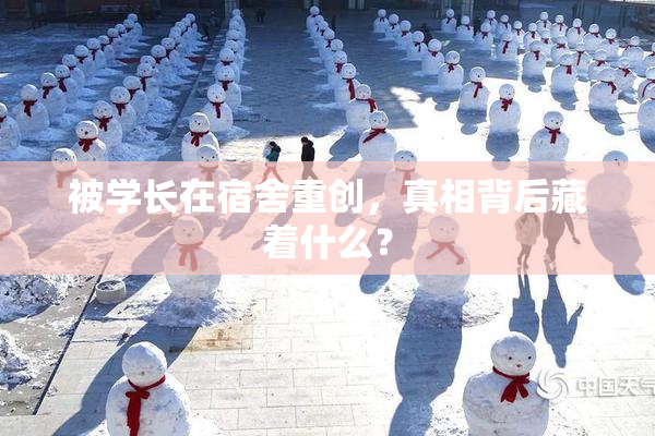 被学长在宿舍重创，真相背后藏着什么？