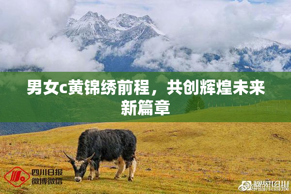 男女c黄锦绣前程，共创辉煌未来新篇章