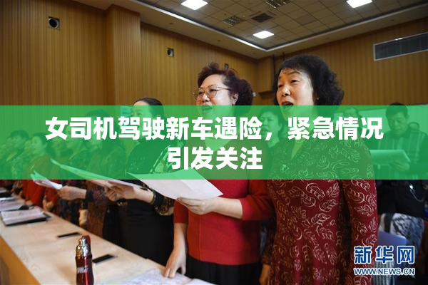 女司机驾驶新车遇险，紧急情况引发关注