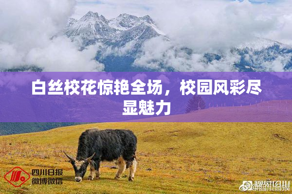 白丝校花惊艳全场，校园风彩尽显魅力