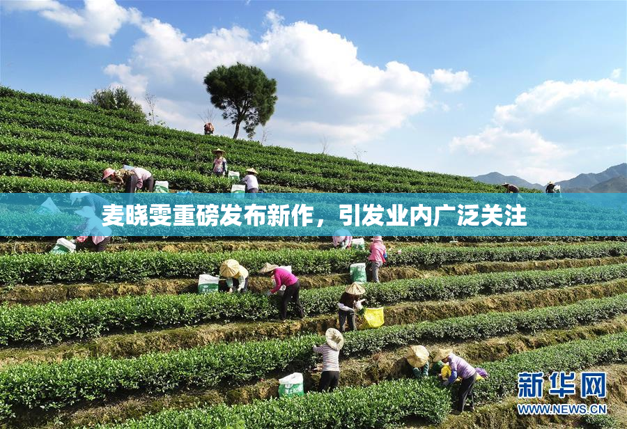 麦晓雯重磅发布新作，引发业内广泛关注