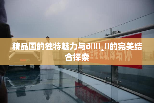 精品国的独特魅力与🌸‌的完美结合探索