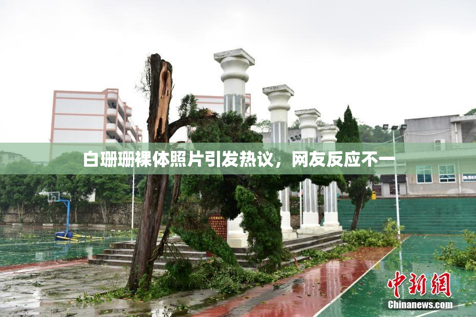白珊珊裸体照片引发热议，网友反应不一