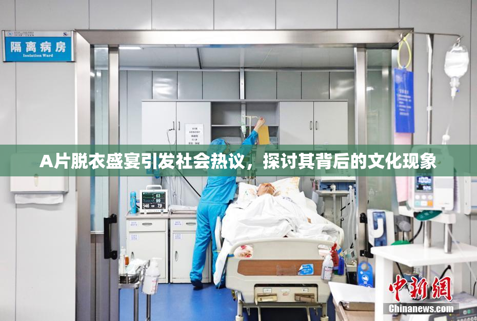 A片脱衣盛宴引发社会热议，探讨其背后的文化现象
