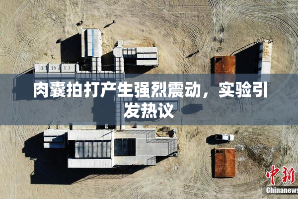 肉囊拍打产生强烈震动，实验引发热议
