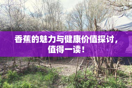 香蕉的魅力与健康价值探讨，值得一读！