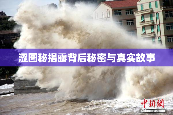 涩图秘揭露背后秘密与真实故事