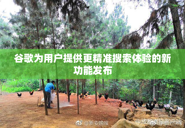 谷歌为用户提供更精准搜索体验的新功能发布
