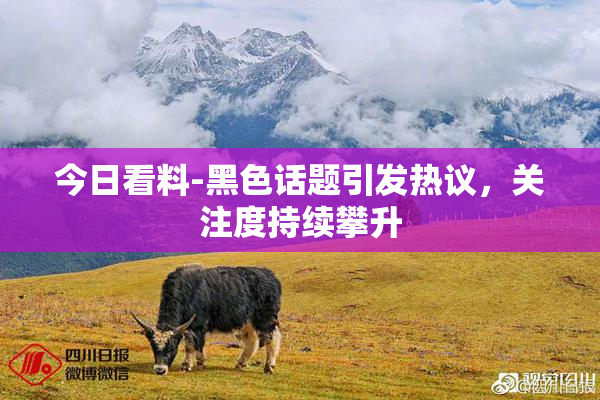 今日看料-黑色话题引发热议，关注度持续攀升