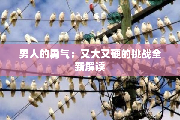 男人的勇气：又大又硬的挑战全新解读