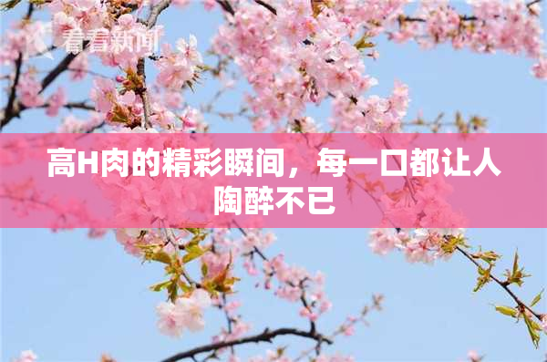 高H肉的精彩瞬间，每一口都让人陶醉不已