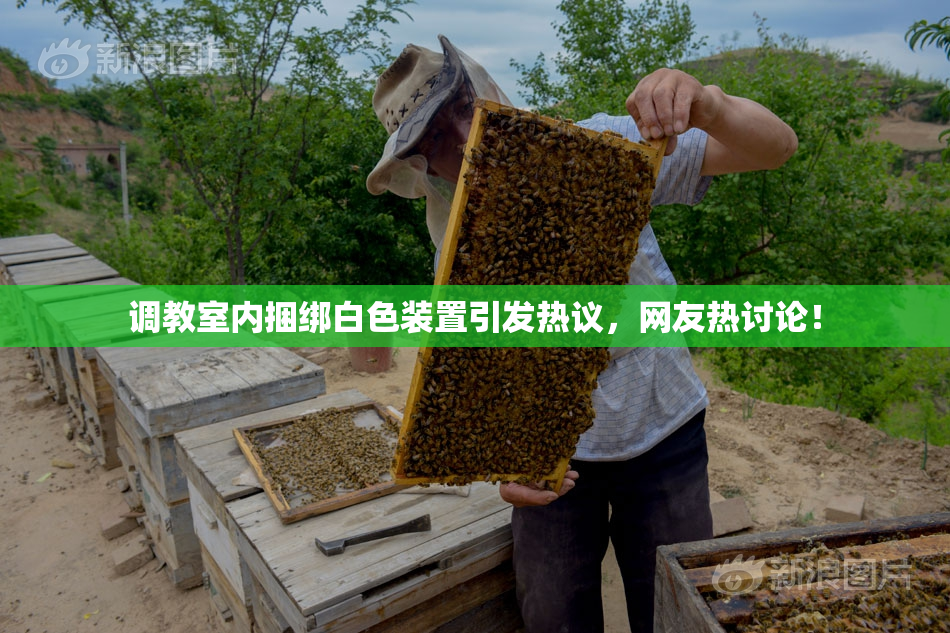 调教室内捆绑白色装置引发热议，网友热讨论！