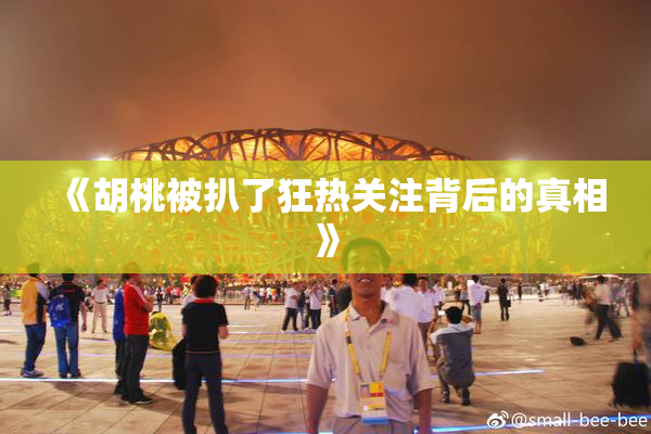 《胡桃被扒了狂热关注背后的真相》