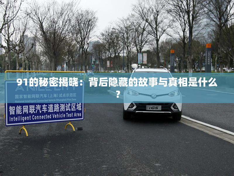 91的秘密揭晓：背后隐藏的故事与真相是什么？