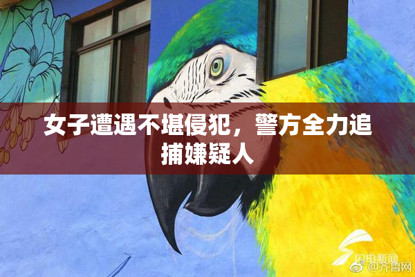 女子遭遇不堪侵犯，警方全力追捕嫌疑人