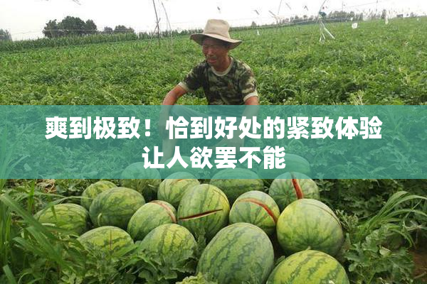 爽到极致！恰到好处的紧致体验让人欲罢不能