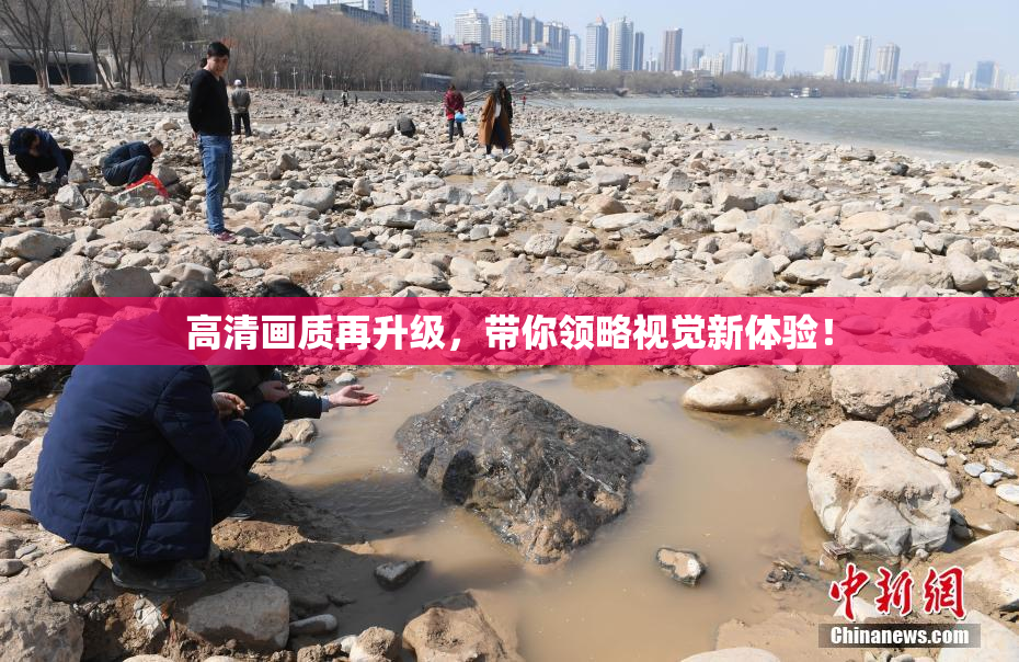 高清画质再升级，带你领略视觉新体验！