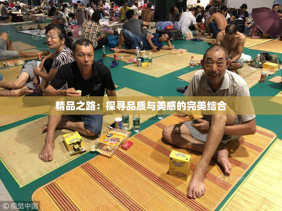 精品之路：探寻品质与美感的完美结合