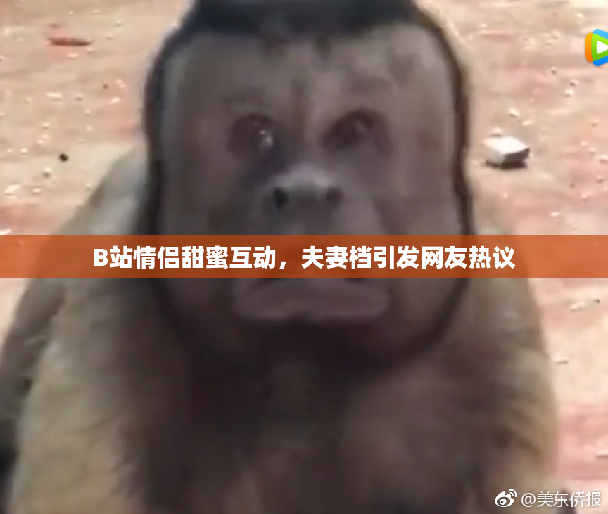 B站情侣甜蜜互动，夫妻档引发网友热议