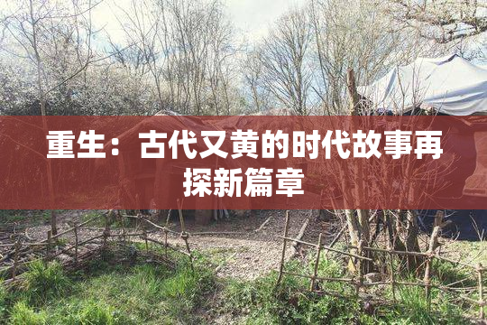 重生：古代又黄的时代故事再探新篇章