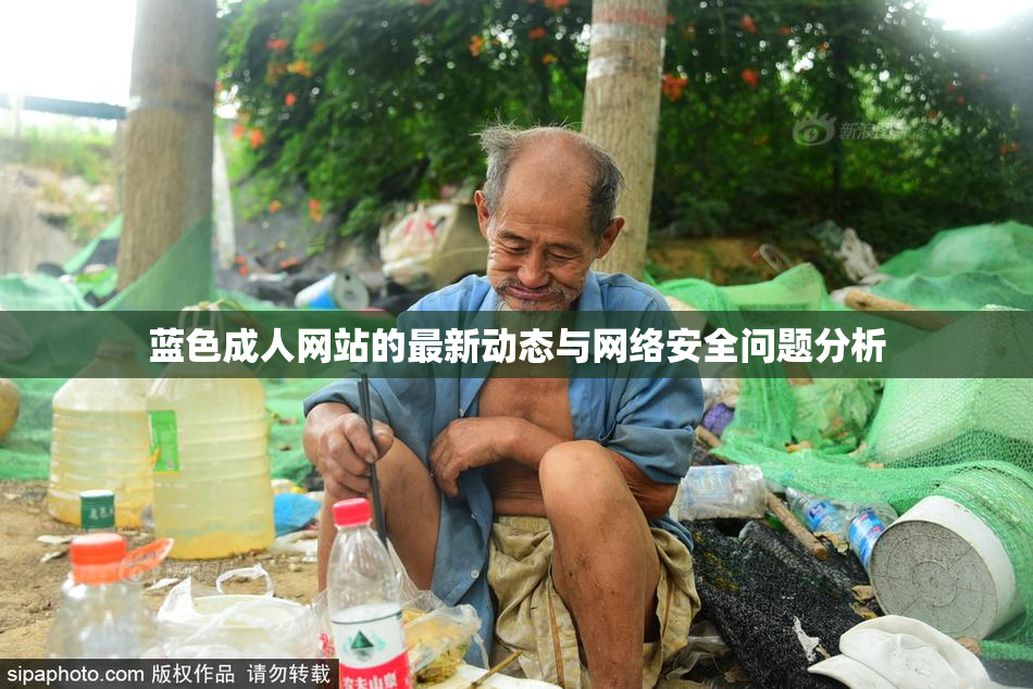 蓝色成人网站的最新动态与网络安全问题分析