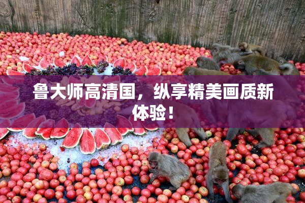 鲁大师高清国，纵享精美画质新体验！