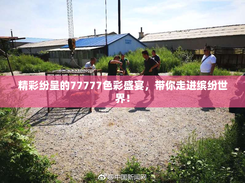 精彩纷呈的77777色彩盛宴，带你走进缤纷世界！