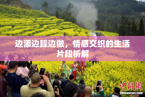 边添边躁边做，情感交织的生活片段析解