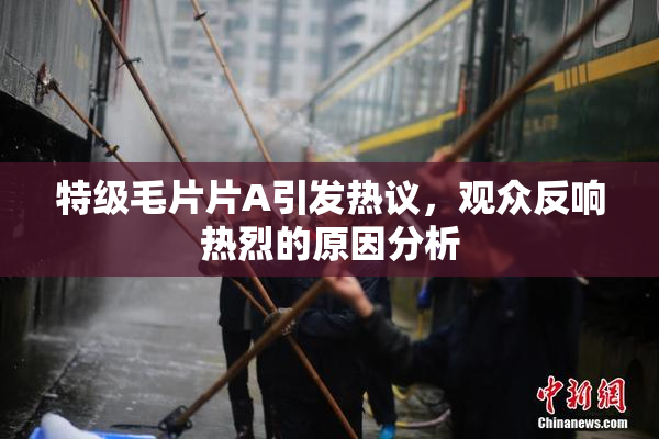特级毛片片A引发热议，观众反响热烈的原因分析