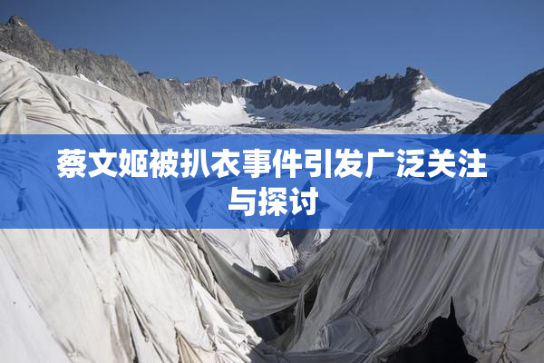 蔡文姬被扒衣事件引发广泛关注与探讨