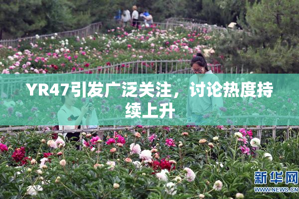 YR47引发广泛关注，讨论热度持续上升