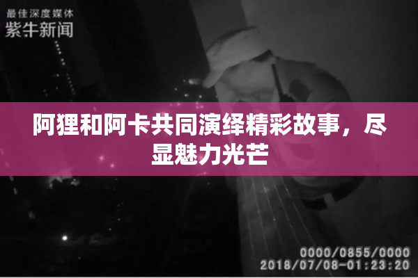 阿狸和阿卡共同演绎精彩故事，尽显魅力光芒