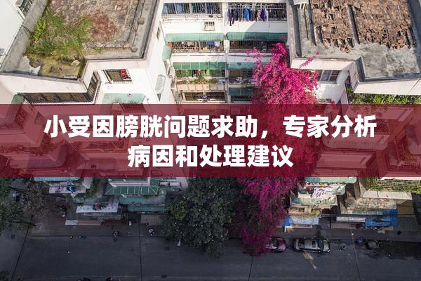 小受因膀胱问题求助，专家分析病因和处理建议