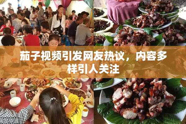 茄子视频引发网友热议，内容多样引人关注