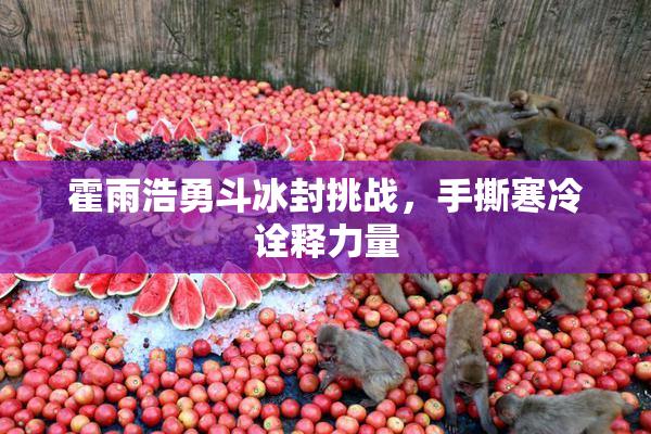 霍雨浩勇斗冰封挑战，手撕寒冷诠释力量