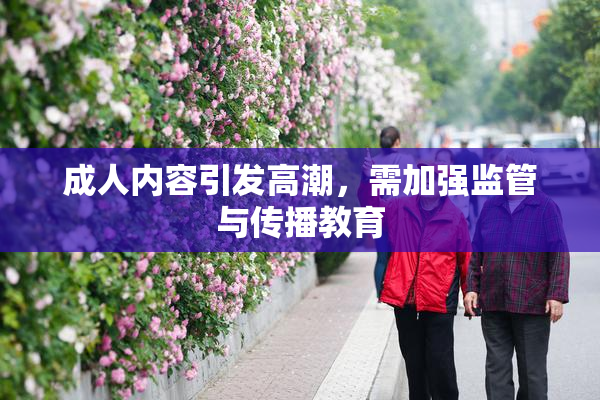 成人内容引发高潮，需加强监管与传播教育