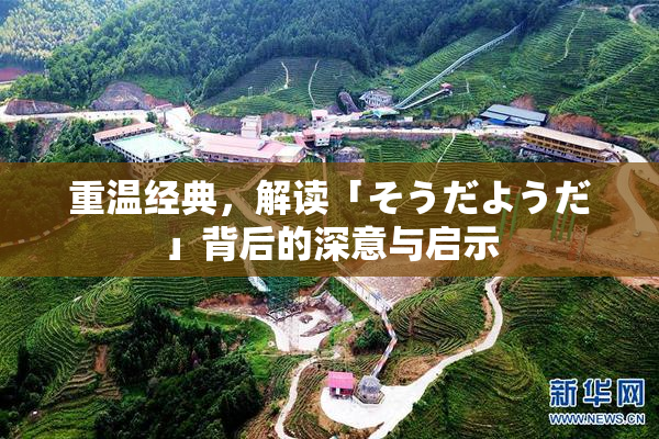 重温经典，解读「そうだようだ」背后的深意与启示