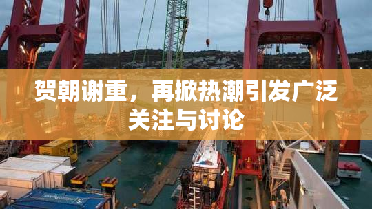 贺朝谢重，再掀热潮引发广泛关注与讨论