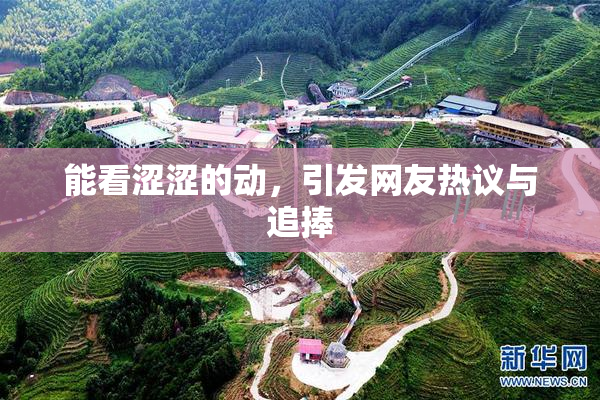 能看涩涩的动，引发网友热议与追捧