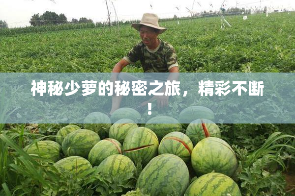 神秘少萝的秘密之旅，精彩不断！