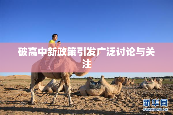破高中新政策引发广泛讨论与关注