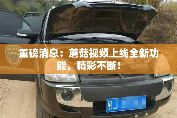 重磅消息：蘑菇视频上线全新功能，精彩不断！