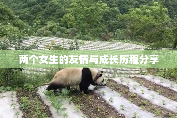 两个女生的友情与成长历程分享