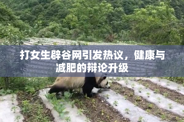 打女生辟谷网引发热议，健康与减肥的辩论升级