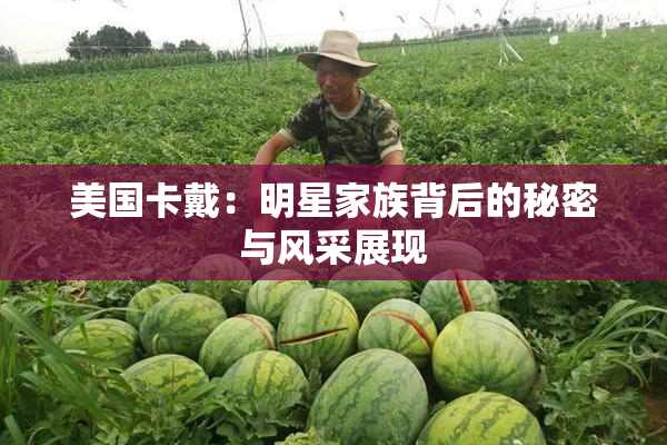 美国卡戴：明星家族背后的秘密与风采展现