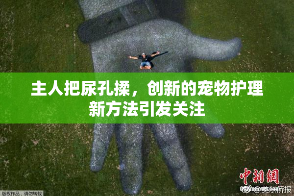 主人把尿孔揉，创新的宠物护理新方法引发关注