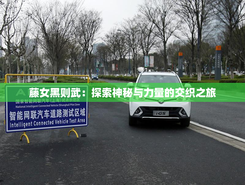 藤女黑则武：探索神秘与力量的交织之旅