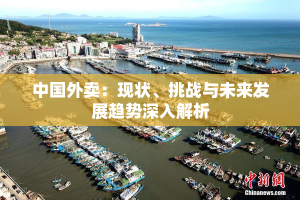 中国外卖：现状、挑战与未来发展趋势深入解析