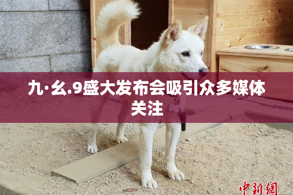 九·幺.9盛大发布会吸引众多媒体关注