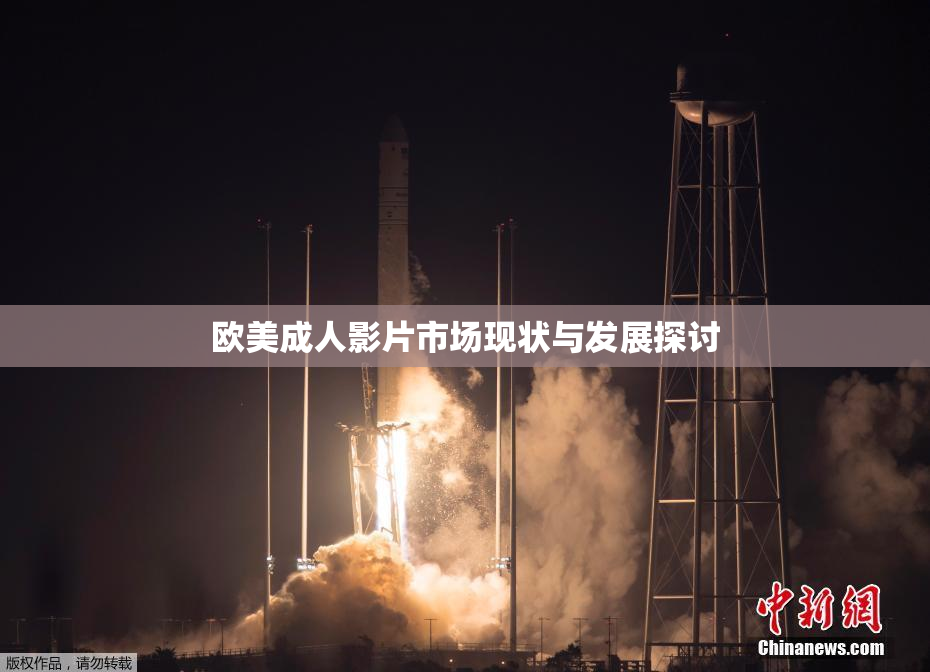 欧美成人影片市场现状与发展探讨